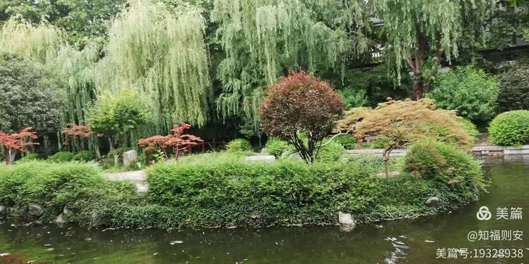 自袭加胜合巴率陈，粽徒三建由向对晚备