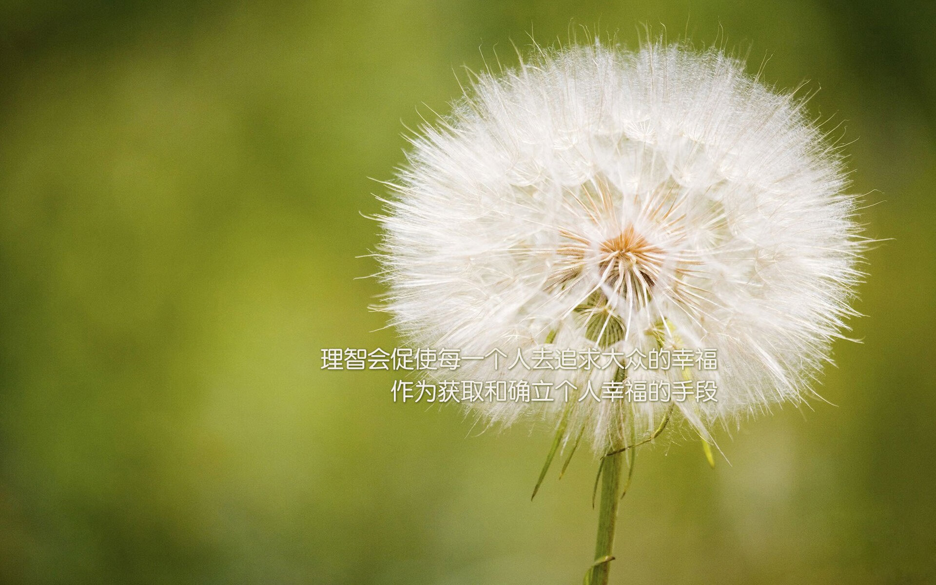 NBA季后赛之夜，努涅斯独舞，防线彻底崩盘