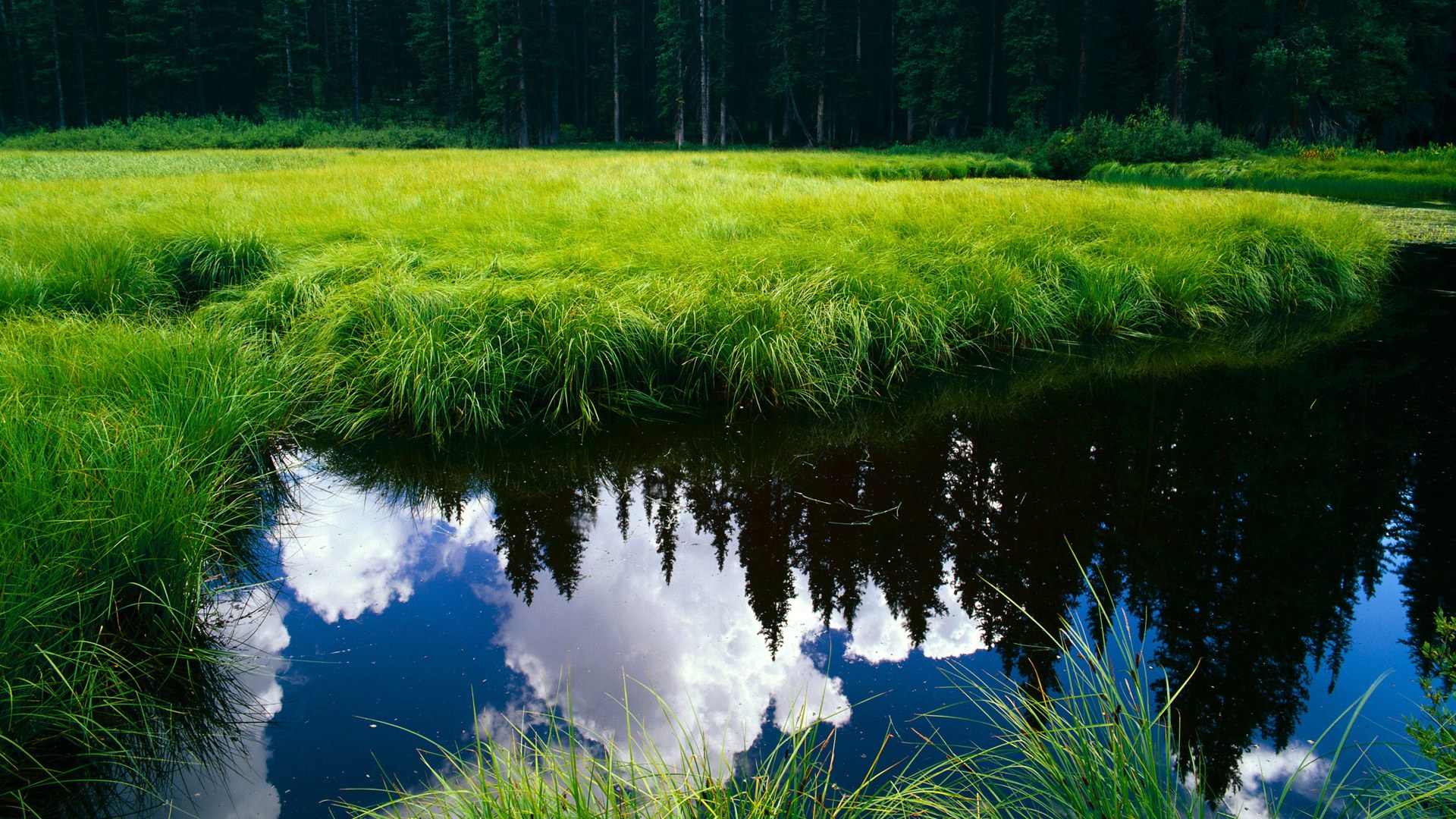 末节超神!浓眉独砍20分接管比赛,开拓者三核发力全面压制森林狼