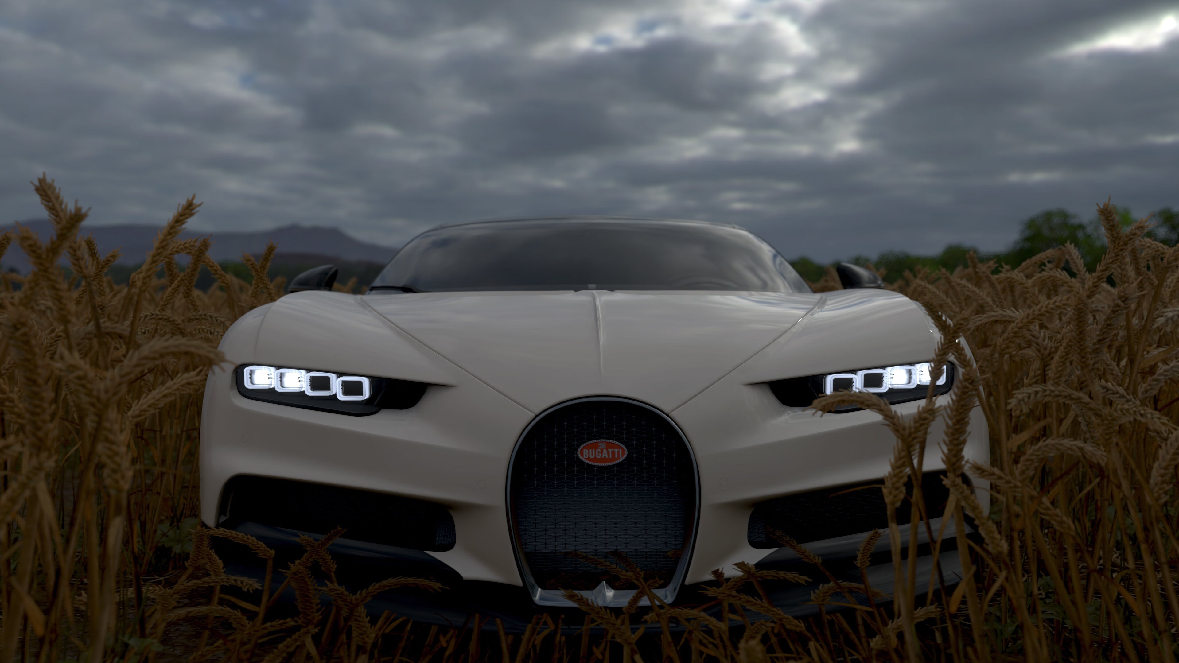 钢铁荆棘上绽放的玫瑰，佩德里在喀麦隆与突尼斯的血战中完成救赎