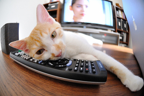 压哨绝杀引爆欧洲！塞维利亚再现魔幻之夜，莱奥神级表演撕裂佛罗伦萨