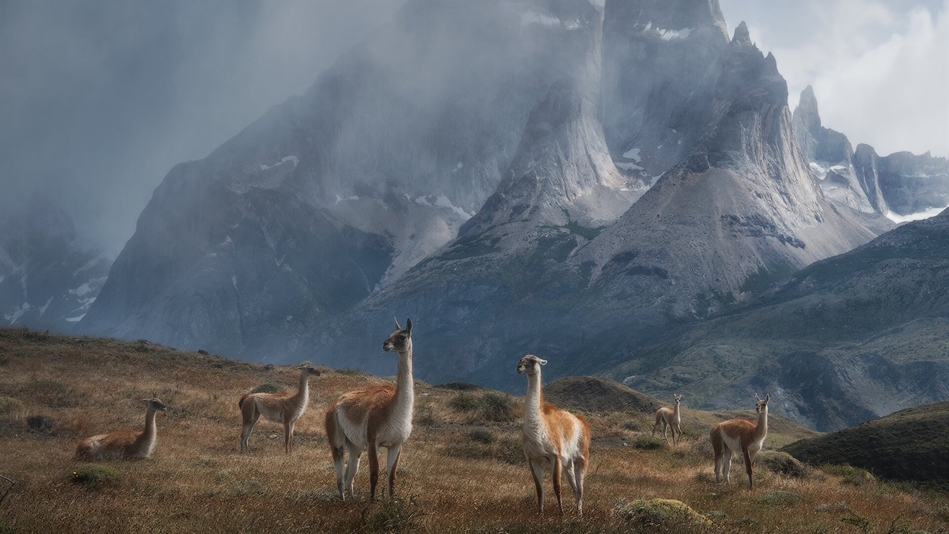 NBA季后赛焦点战,快船狂胜独行侠,展现实力统治