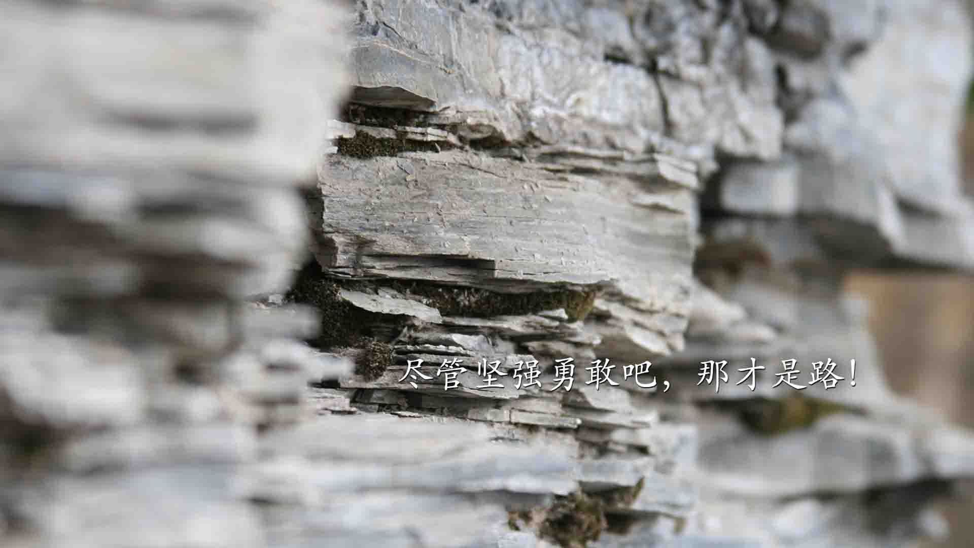 从沉默刺客到绿茵核弹，英格拉姆撕裂2026世界杯之夜