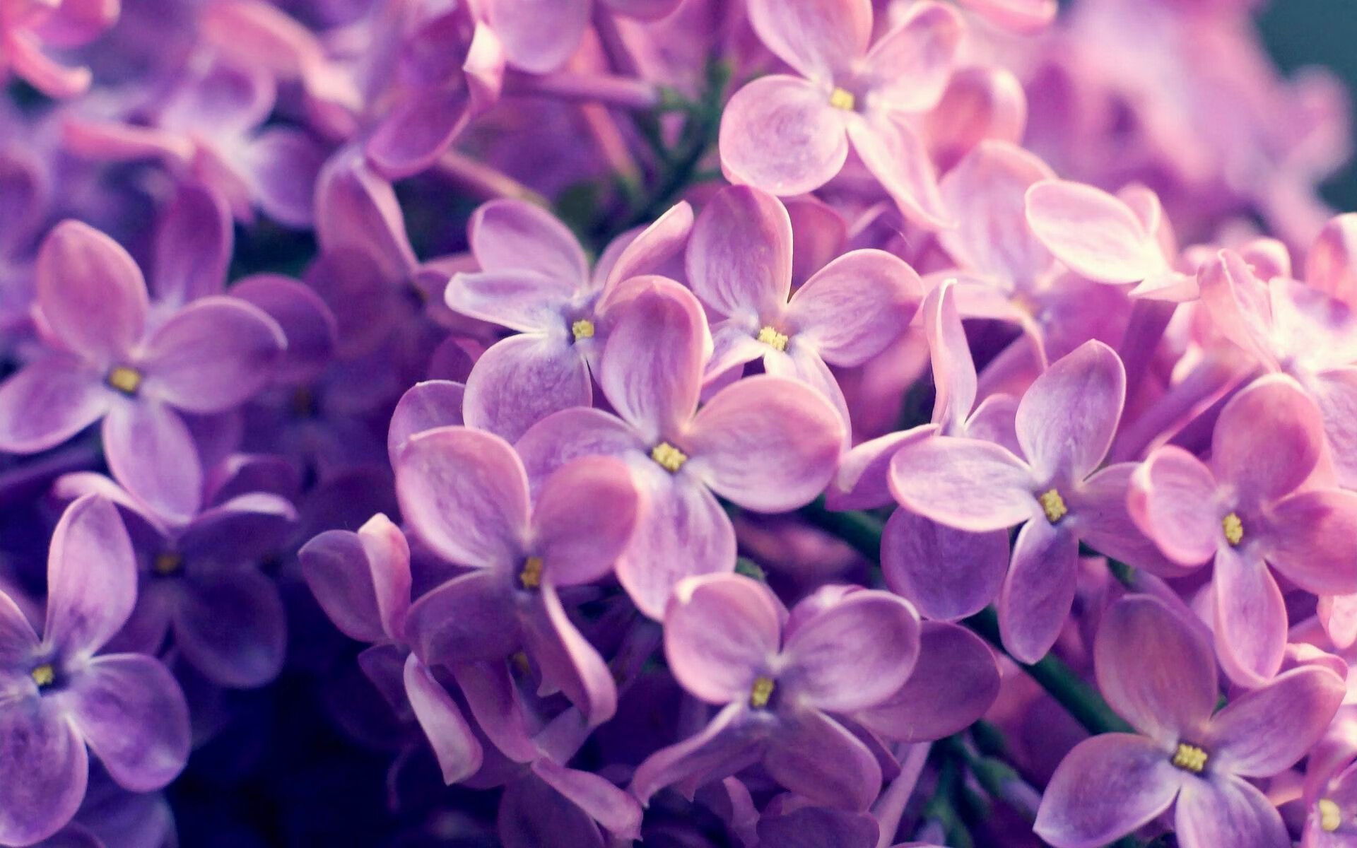 维尼修斯戴上权杖,波兰推开丹麦—足球世界正在迎接新的主角