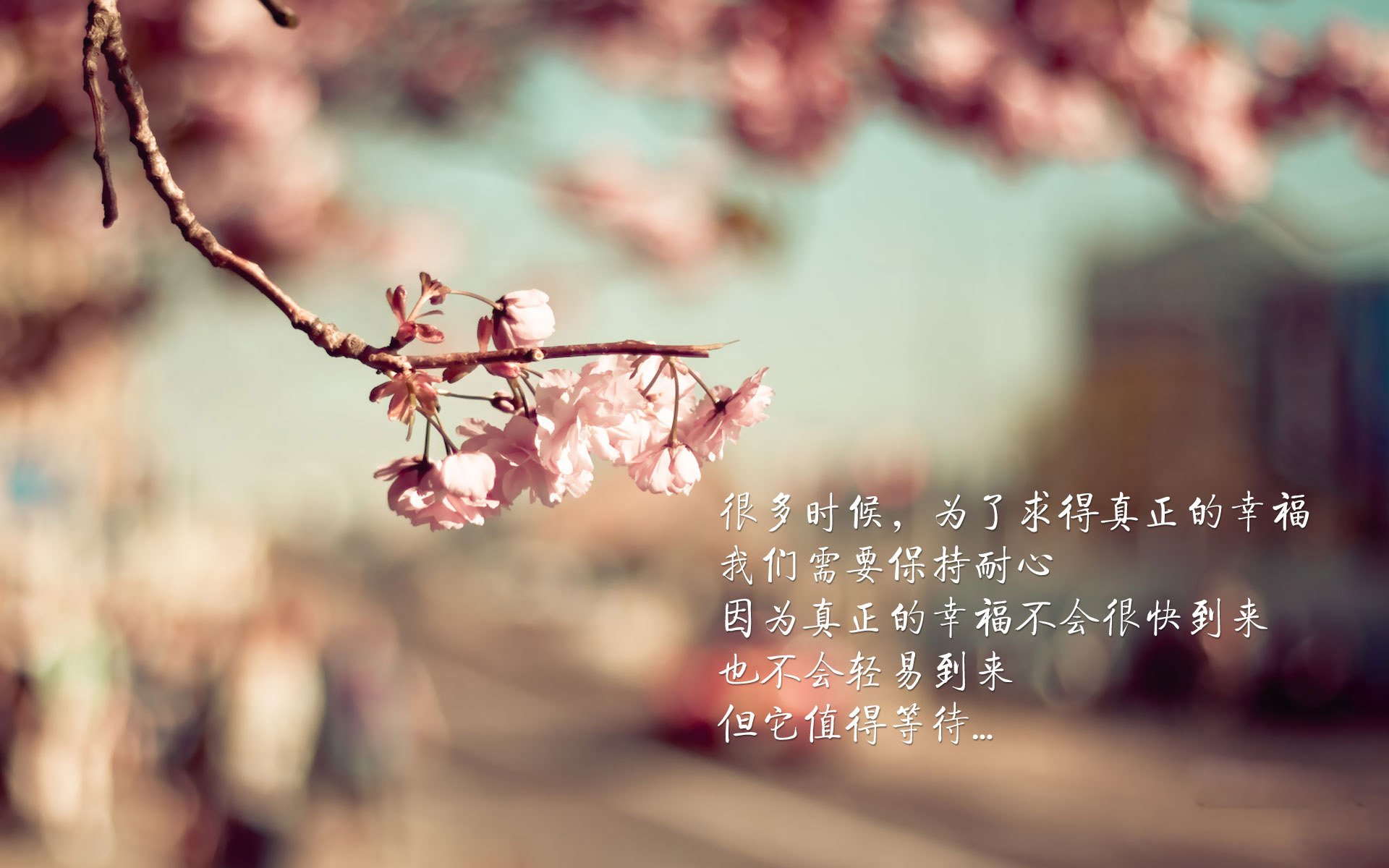 萨拉赫关键制胜，安哥拉险胜乌克兰—一场跨越洲际的足球盛宴