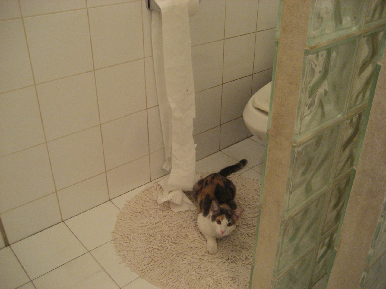 英雄的翅膀,当C罗在尼斯雨夜扛起整个国际米兰